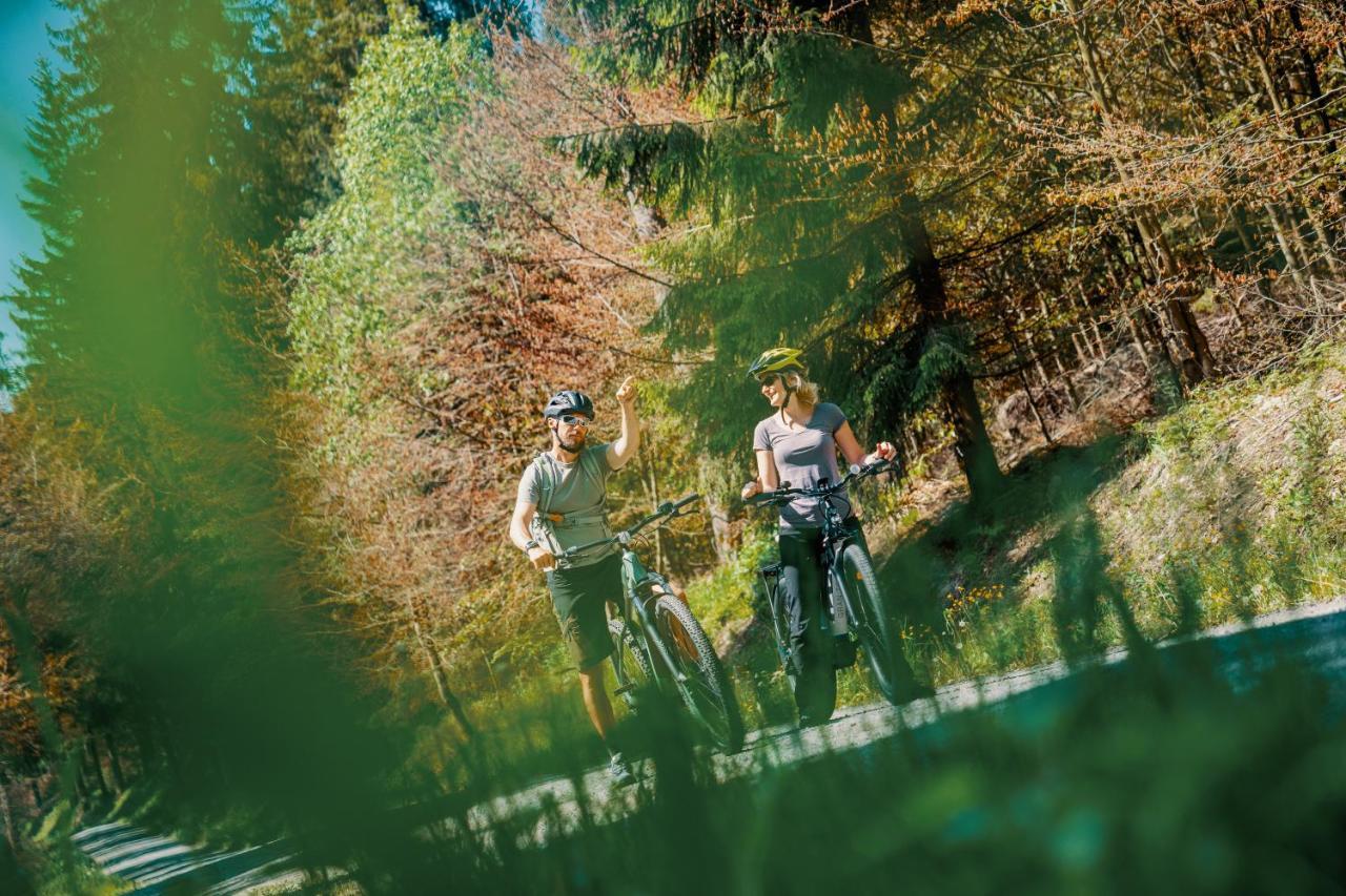 Waldhotel Vogtland Klingenthal Dış mekan fotoğraf